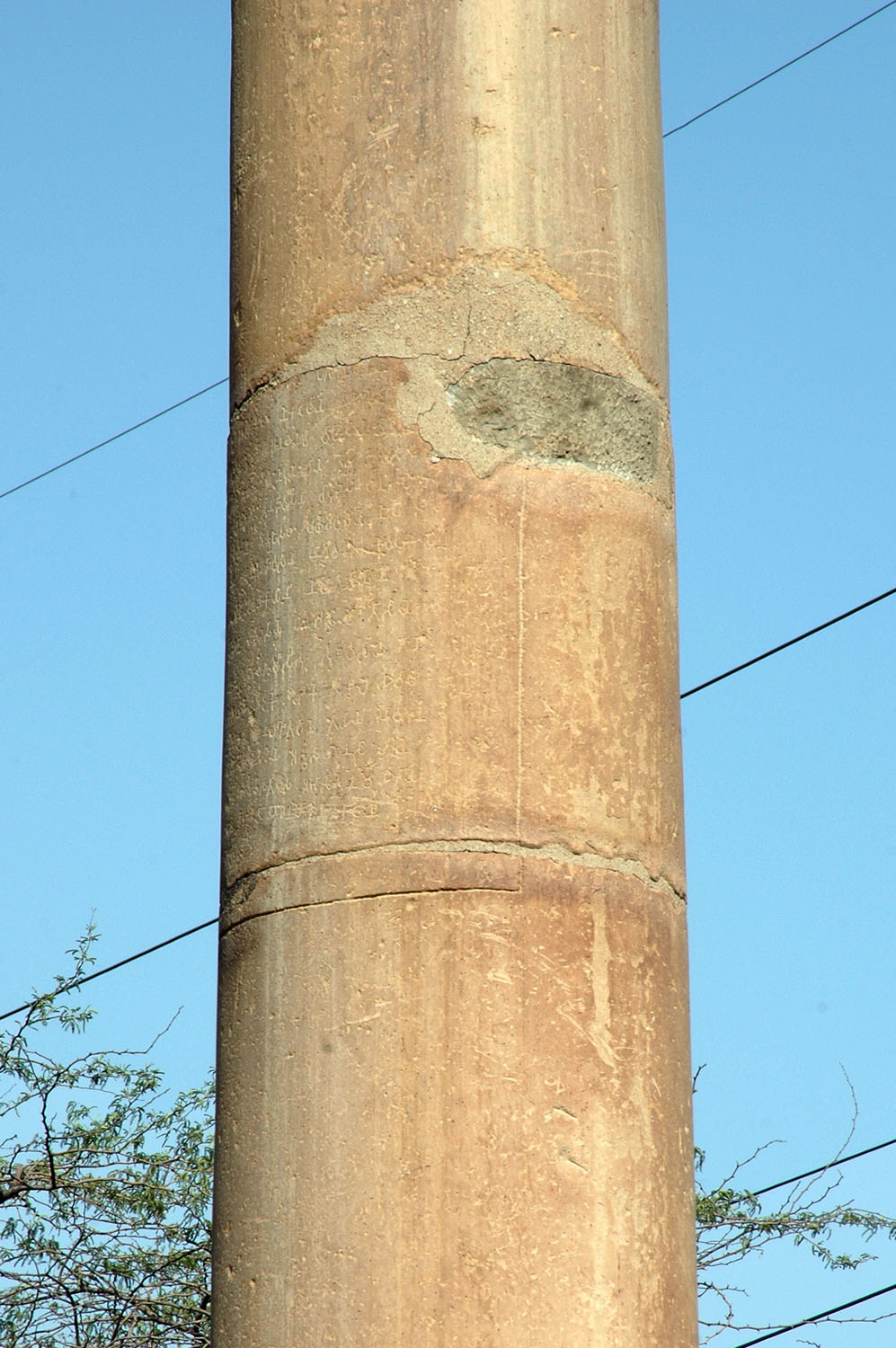 Asokan Pillar (Hindu Rao Hospital), Delhi