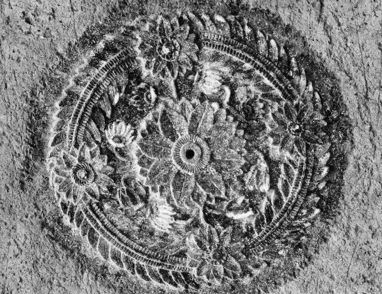 N Sites, AIIS, CA&A