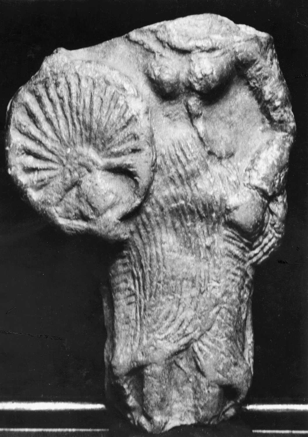 Allahabad Museum, Terracotta