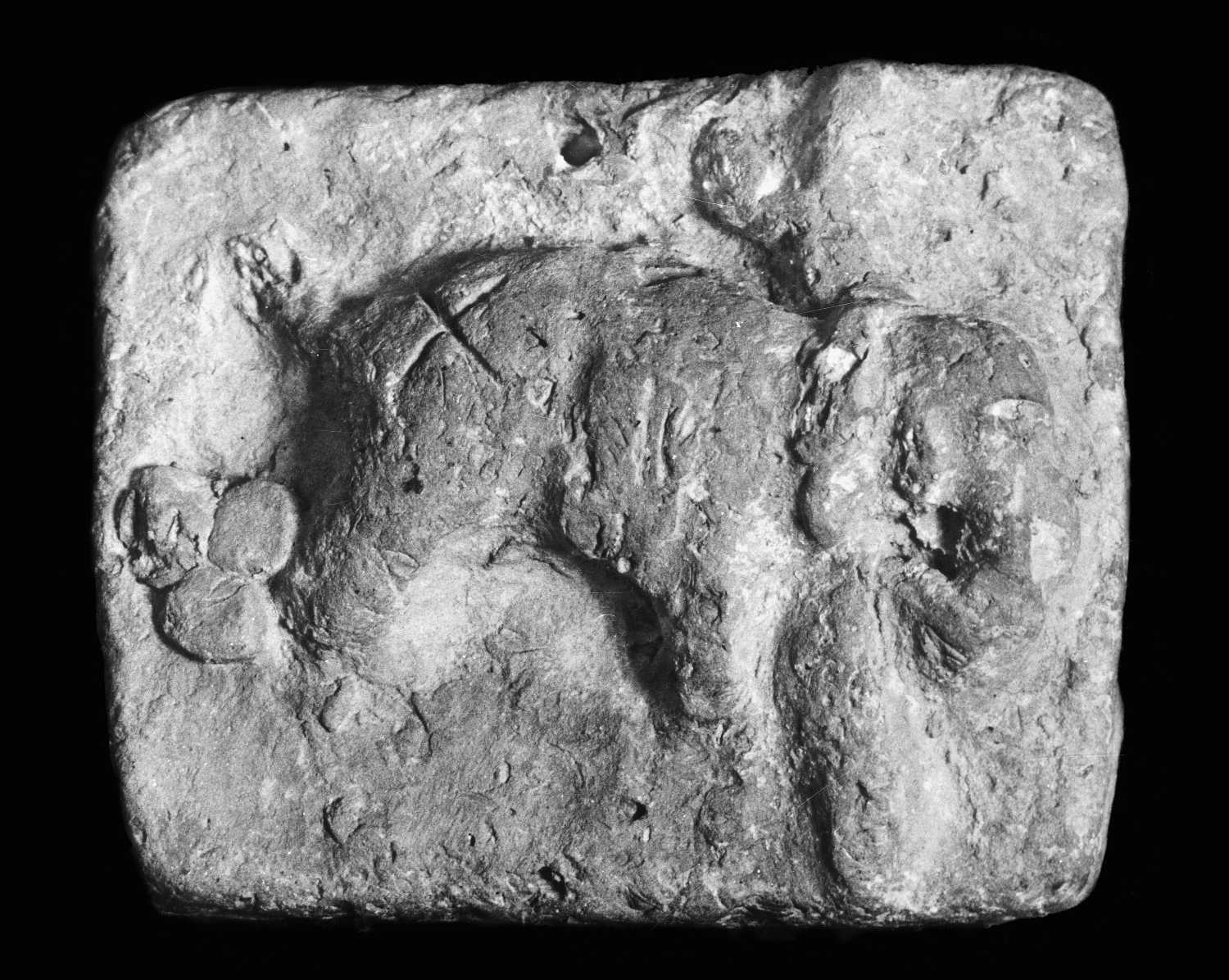 Allahabad Museum, Terracotta