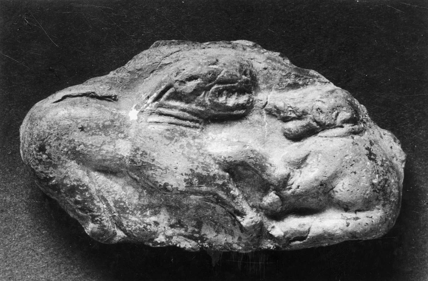 Allahabad Museum, Terracotta