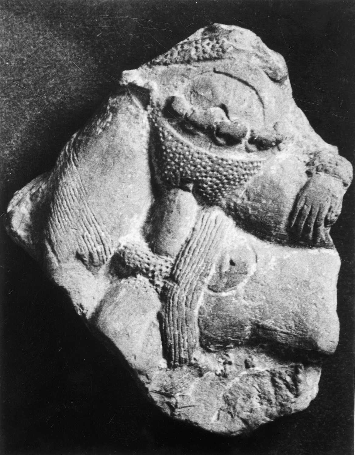 Allahabad Museum, Terracotta