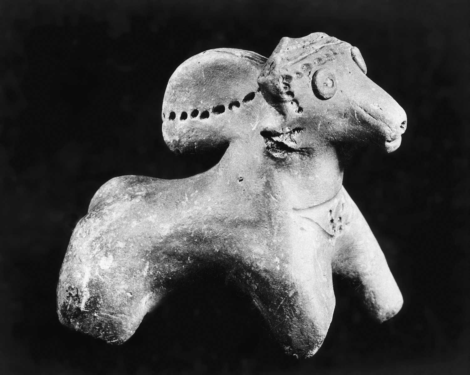 Allahabad Museum, Terracotta