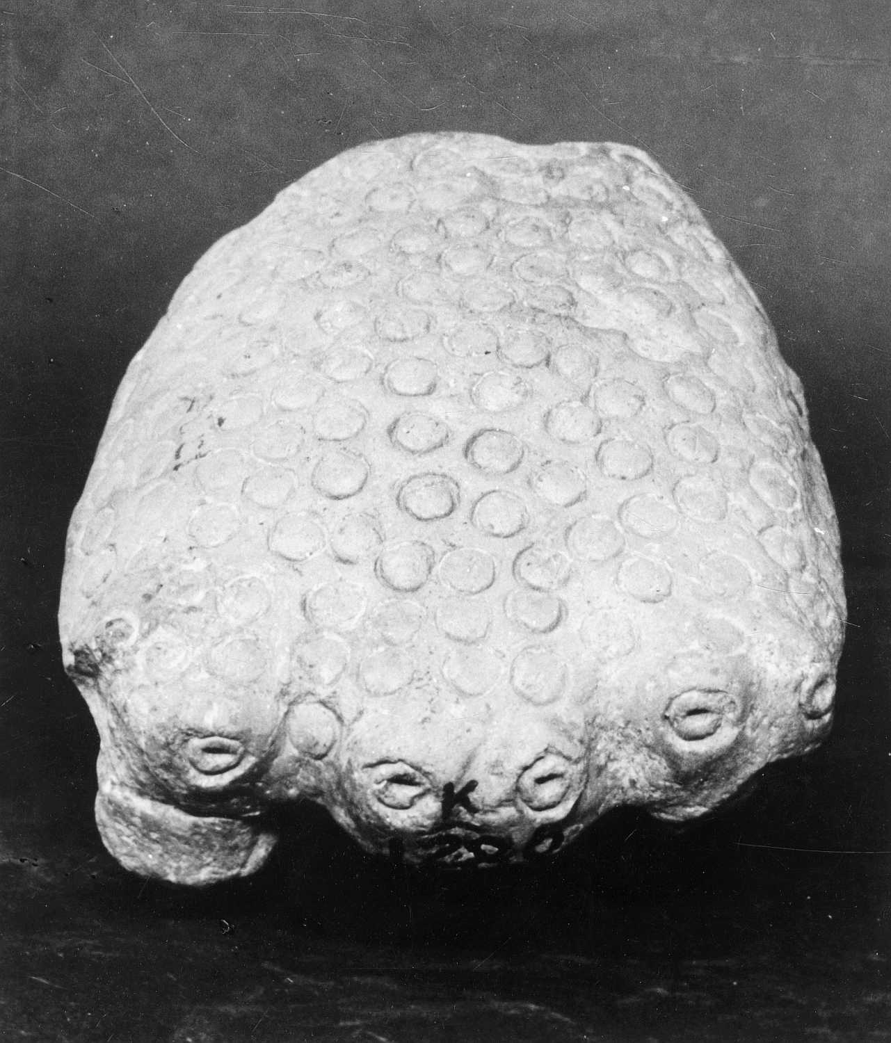 Allahabad Museum, Terracotta
