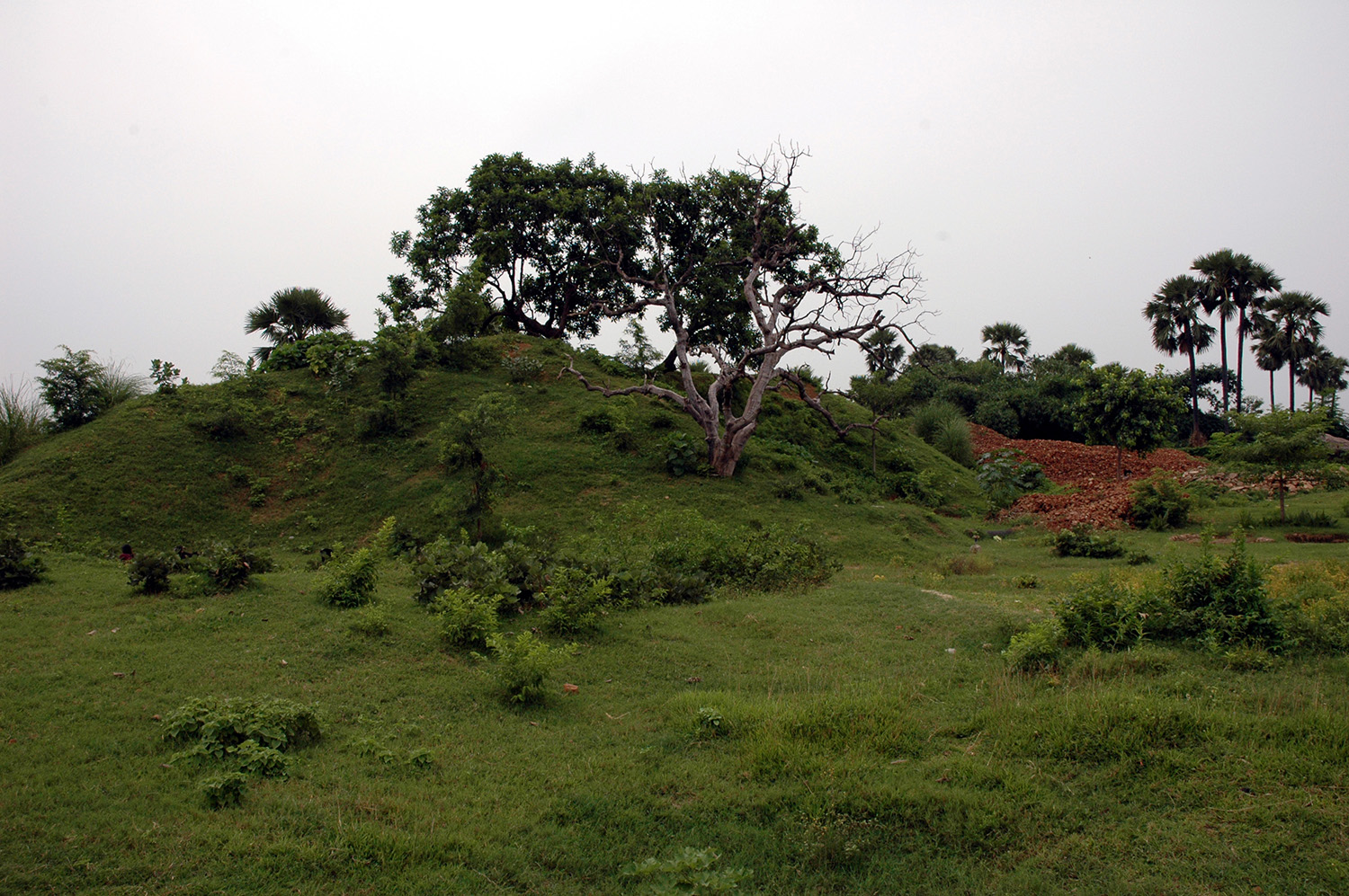 Modern Bodhgaya