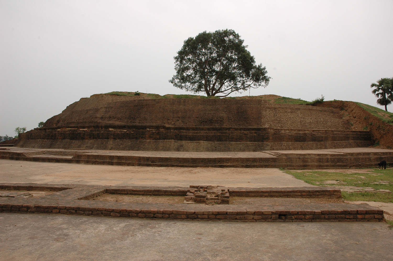Modern Bodhgaya