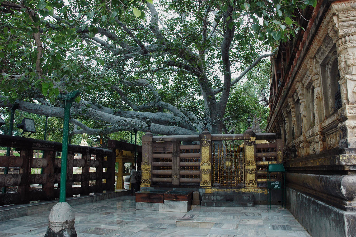 Mahabodhi temple complex (Asher Collection)