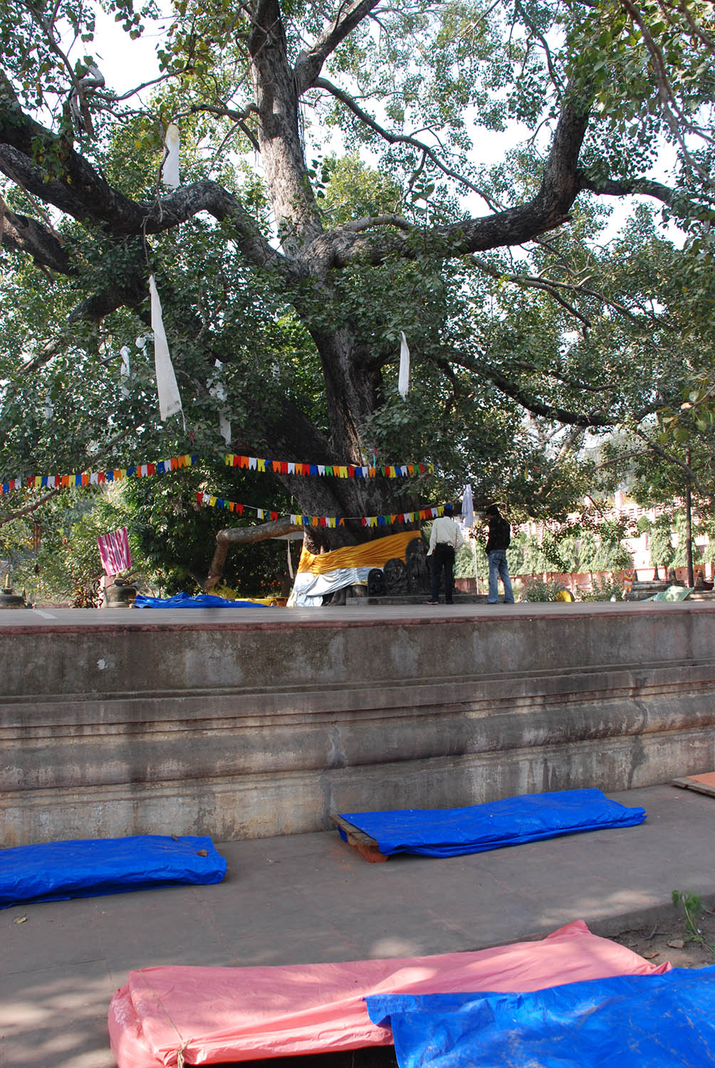 Mahabodhi temple complex (Asher Collection)