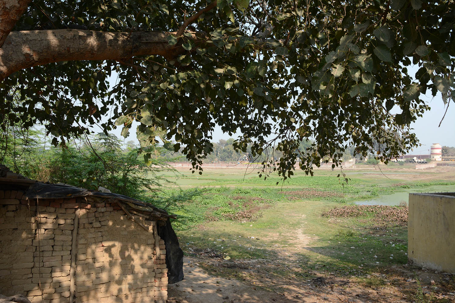 Sites in Sarnath