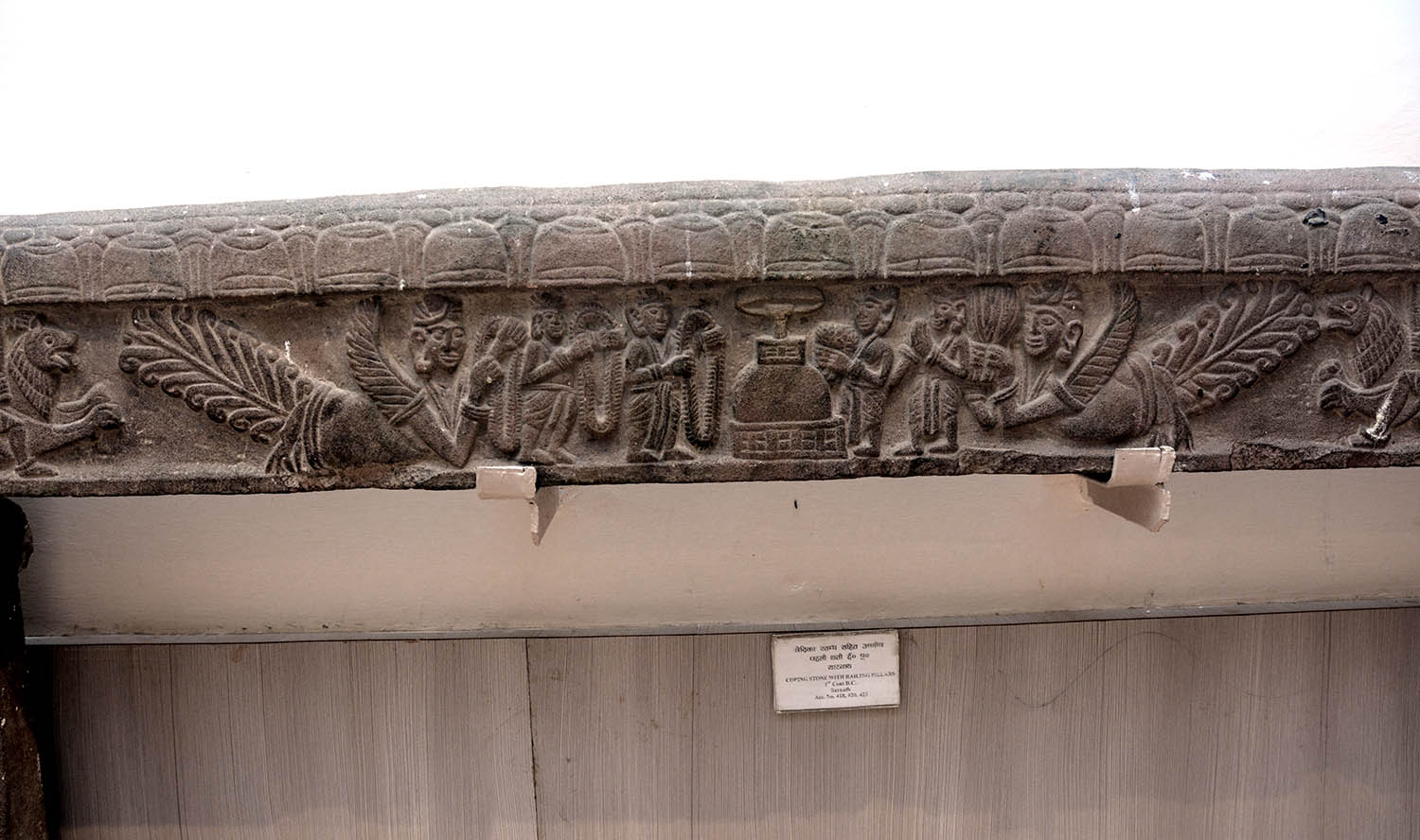 Sarnath Museum, Uttar Pradesh (Asher Collection)