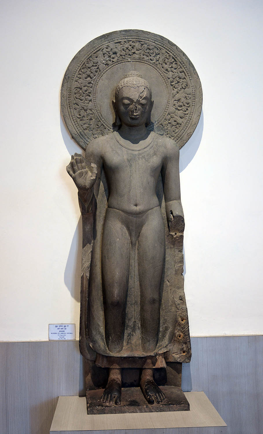 Sarnath Museum, Uttar Pradesh (Asher Collection)