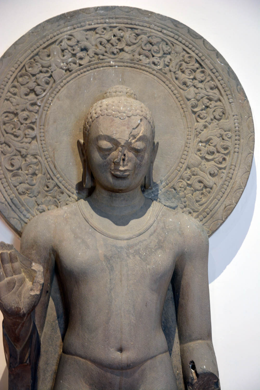 Sarnath Museum, Uttar Pradesh (Asher Collection)