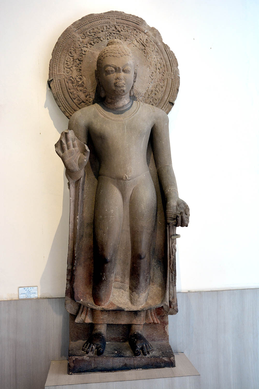 Sarnath Museum, Uttar Pradesh (Asher Collection)