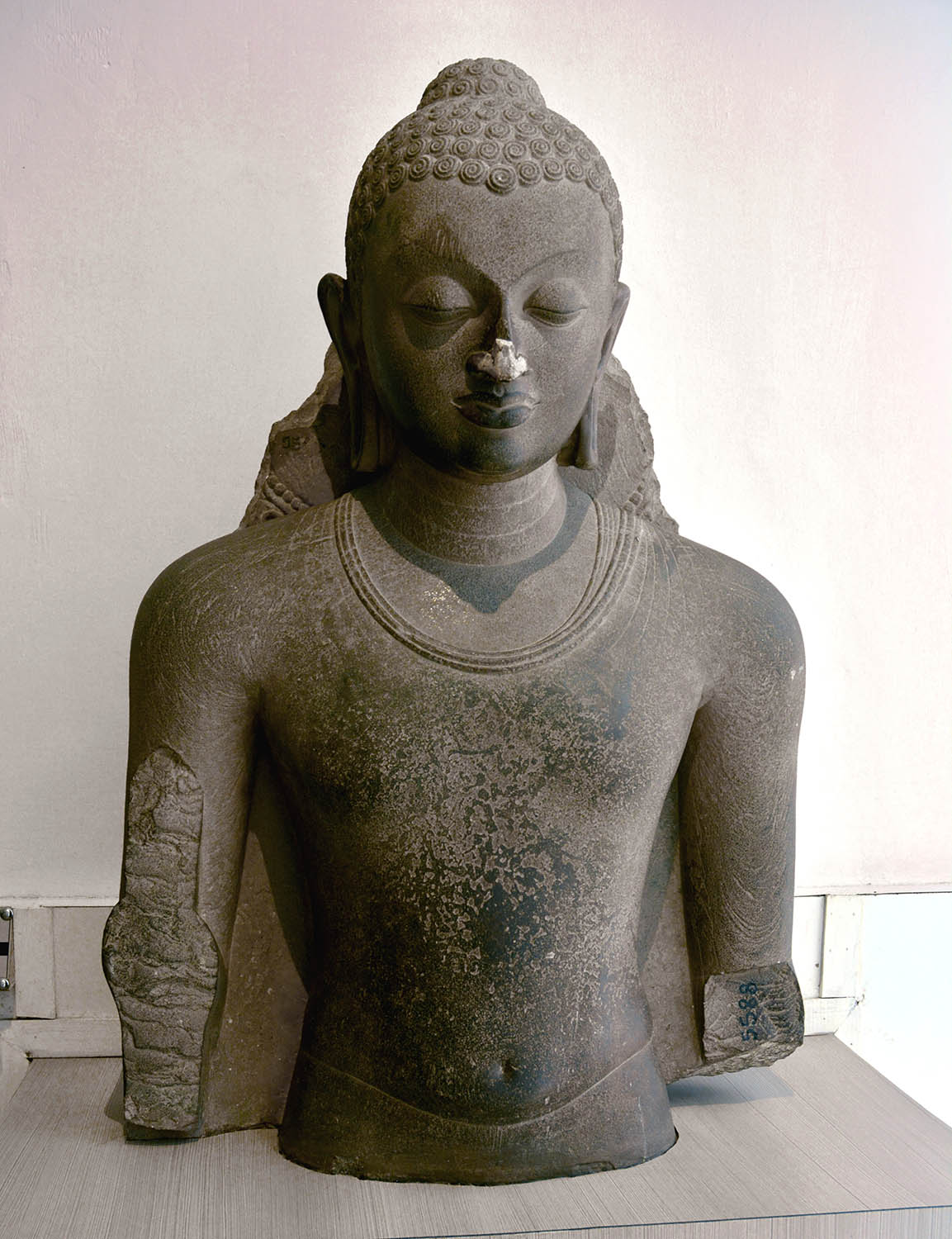 Sarnath Museum, Uttar Pradesh (Asher Collection)