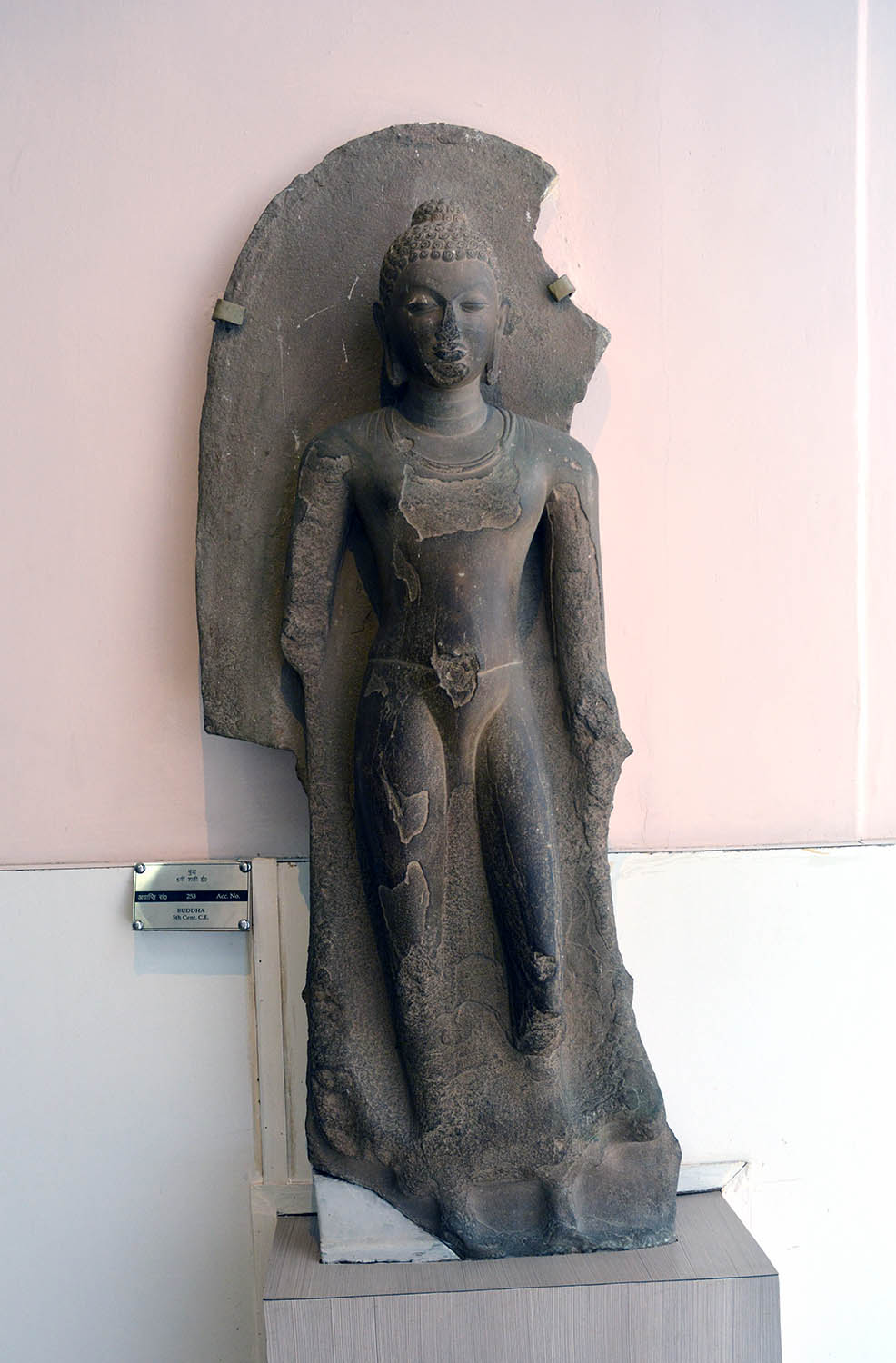 Sarnath Museum, Uttar Pradesh (Asher Collection)