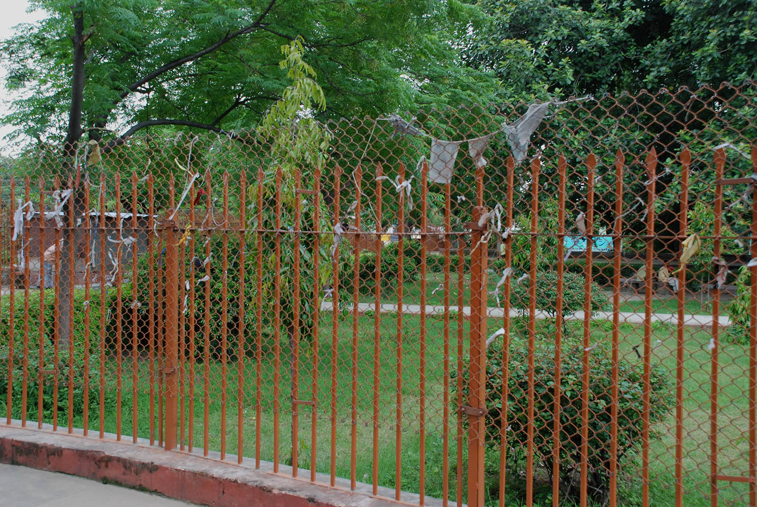 Sarnath Museum, Uttar Pradesh (Asher Collection)