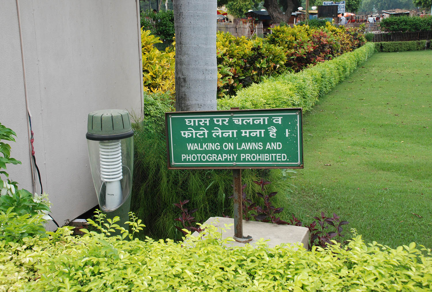 Sarnath Museum, Uttar Pradesh (Asher Collection)