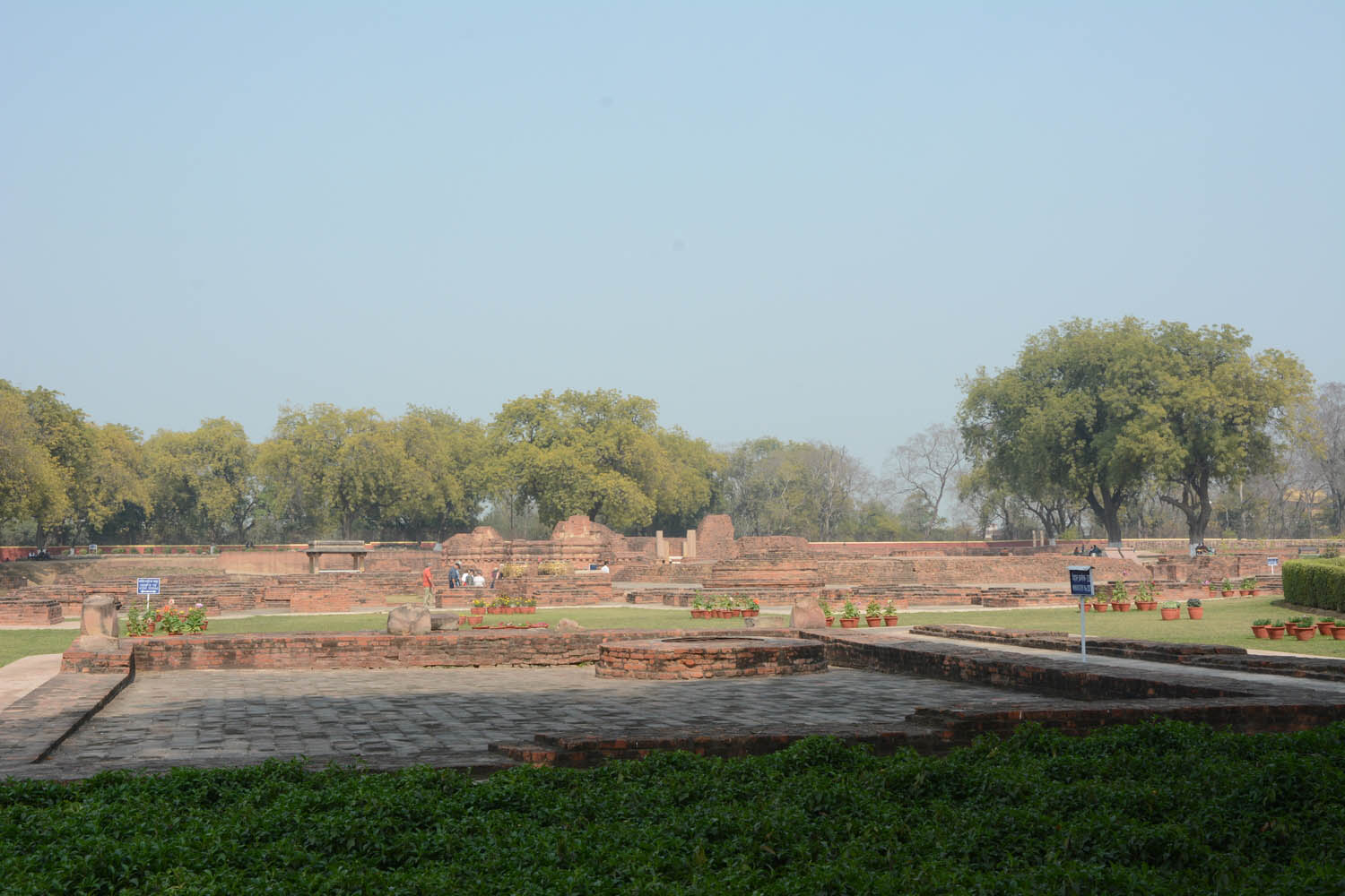 Archaeological Site of Sarnath (Asher Collection)