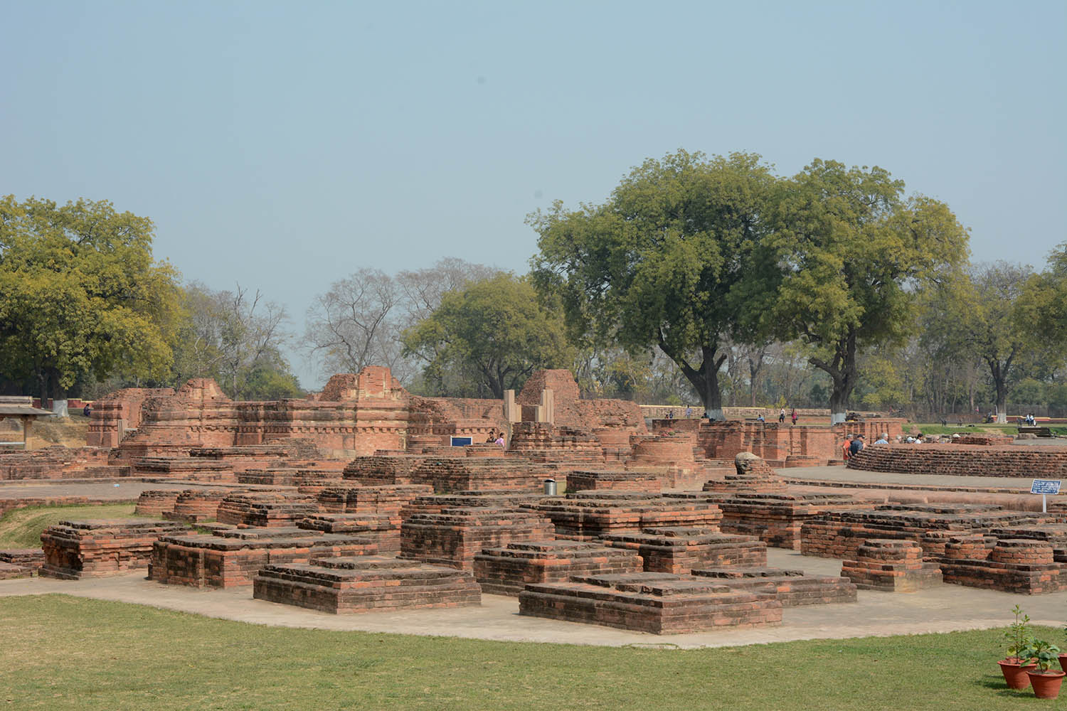Archaeological Site of Sarnath (Asher Collection)
