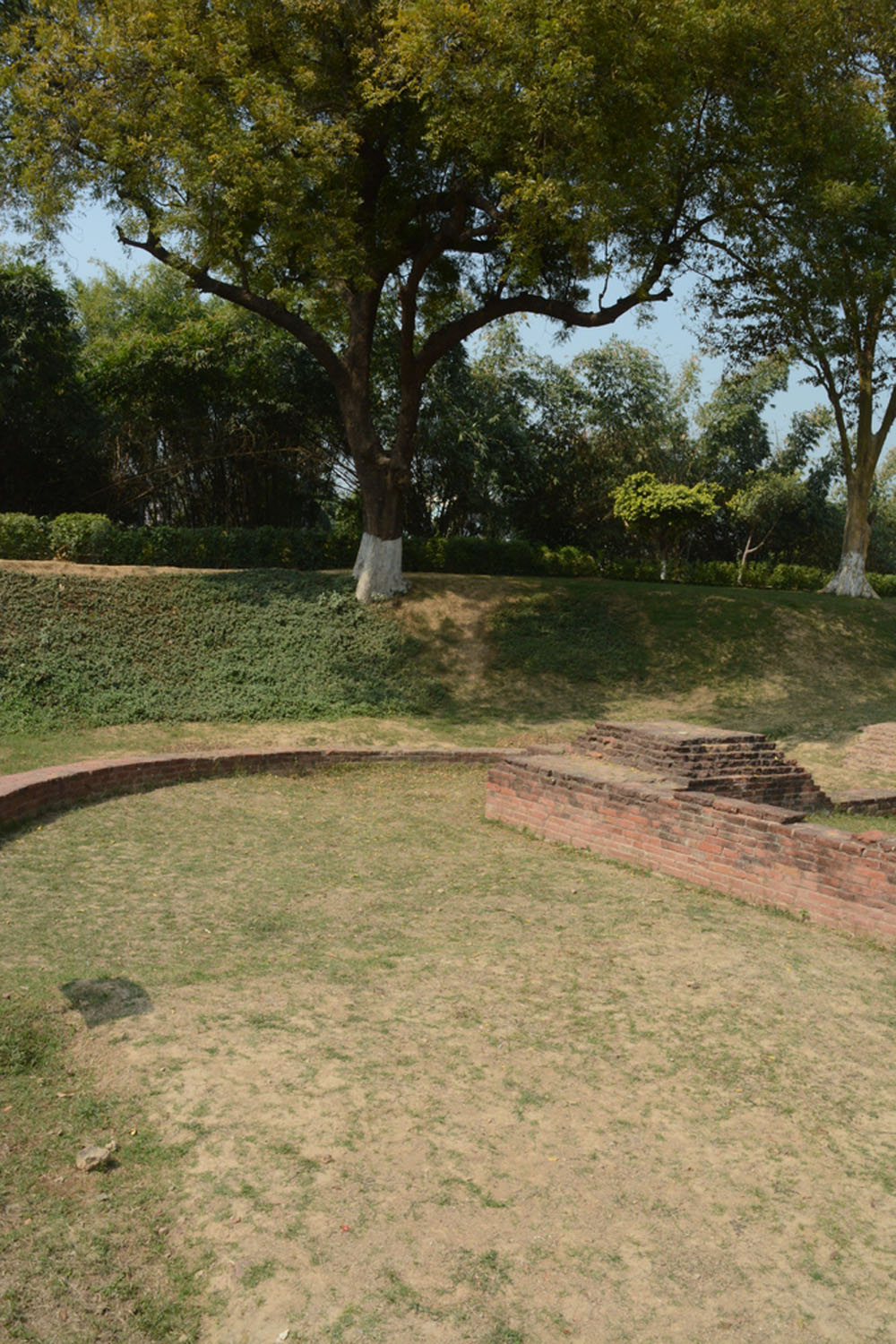 Archaeological Site of Sarnath (Asher Collection)