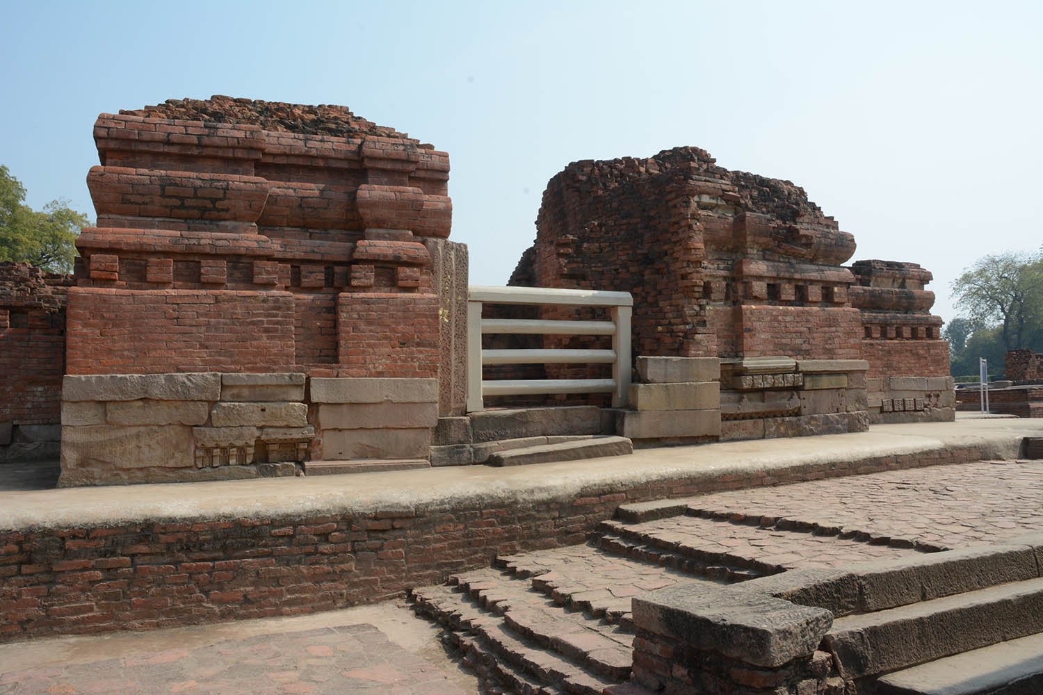 Archaeological Site of Sarnath (Asher Collection)