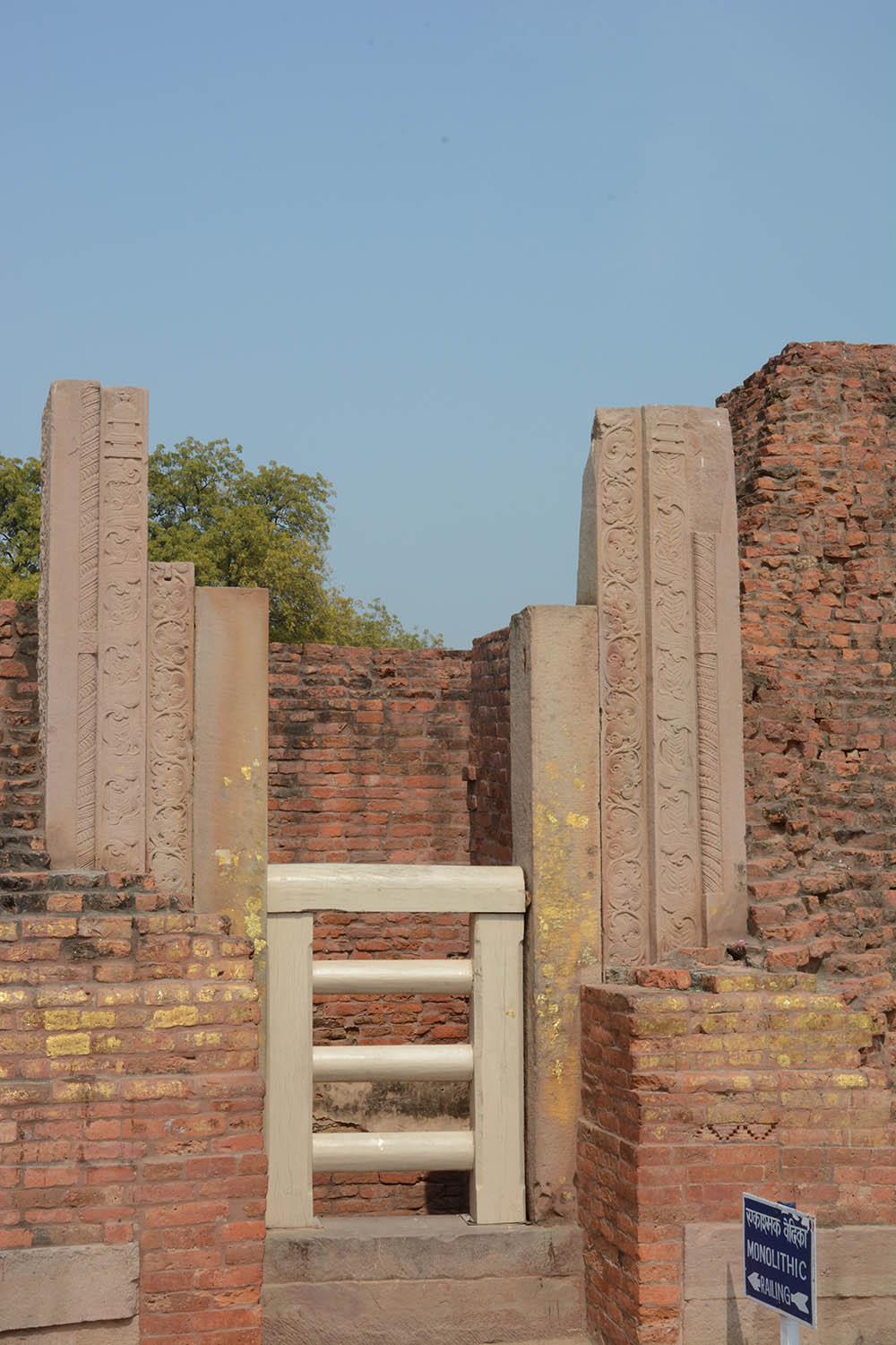 Archaeological Site of Sarnath (Asher Collection)