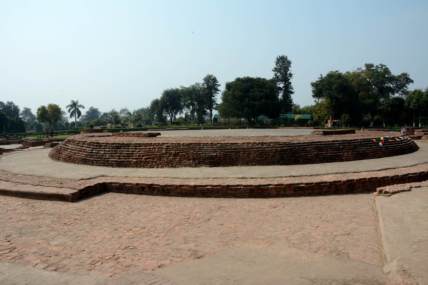 Archaeological Site of Sarnath (Asher Collection)