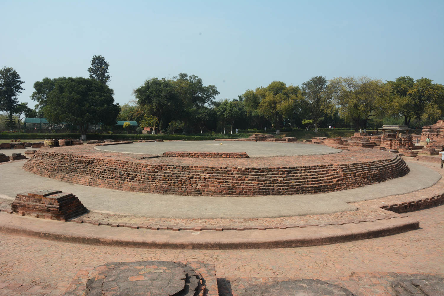 Archaeological Site of Sarnath (Asher Collection)