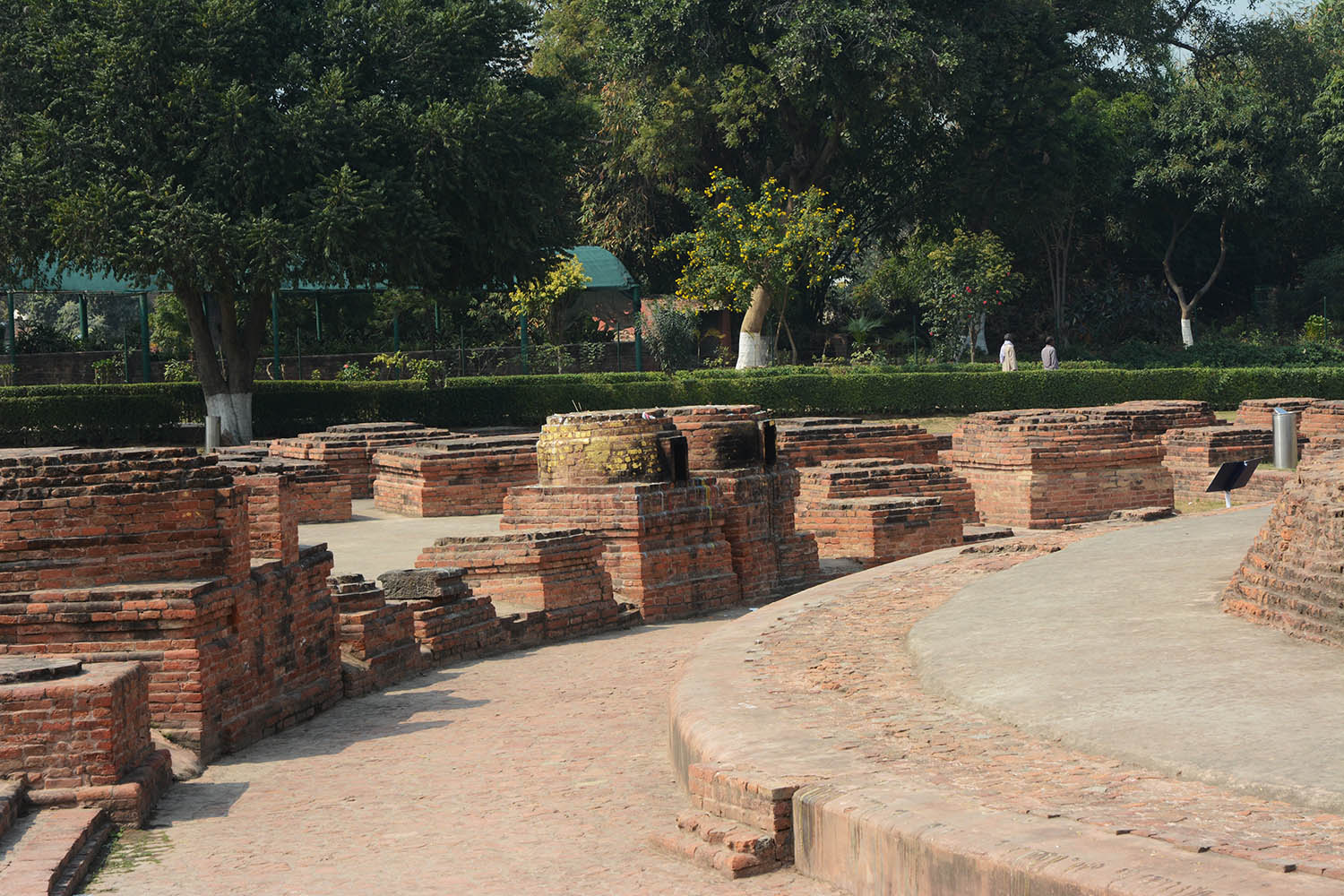 Archaeological Site of Sarnath (Asher Collection)