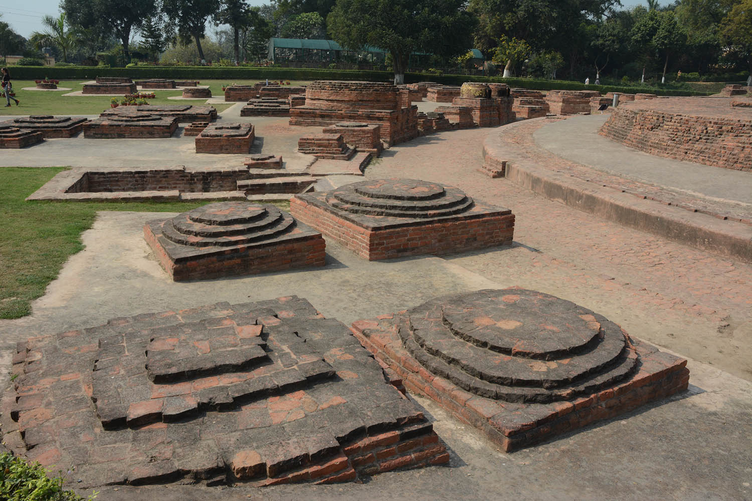 Archaeological Site of Sarnath (Asher Collection)
