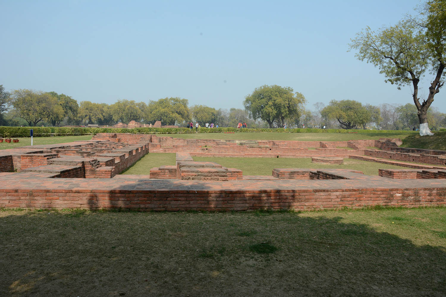 Archaeological Site of Sarnath (Asher Collection)