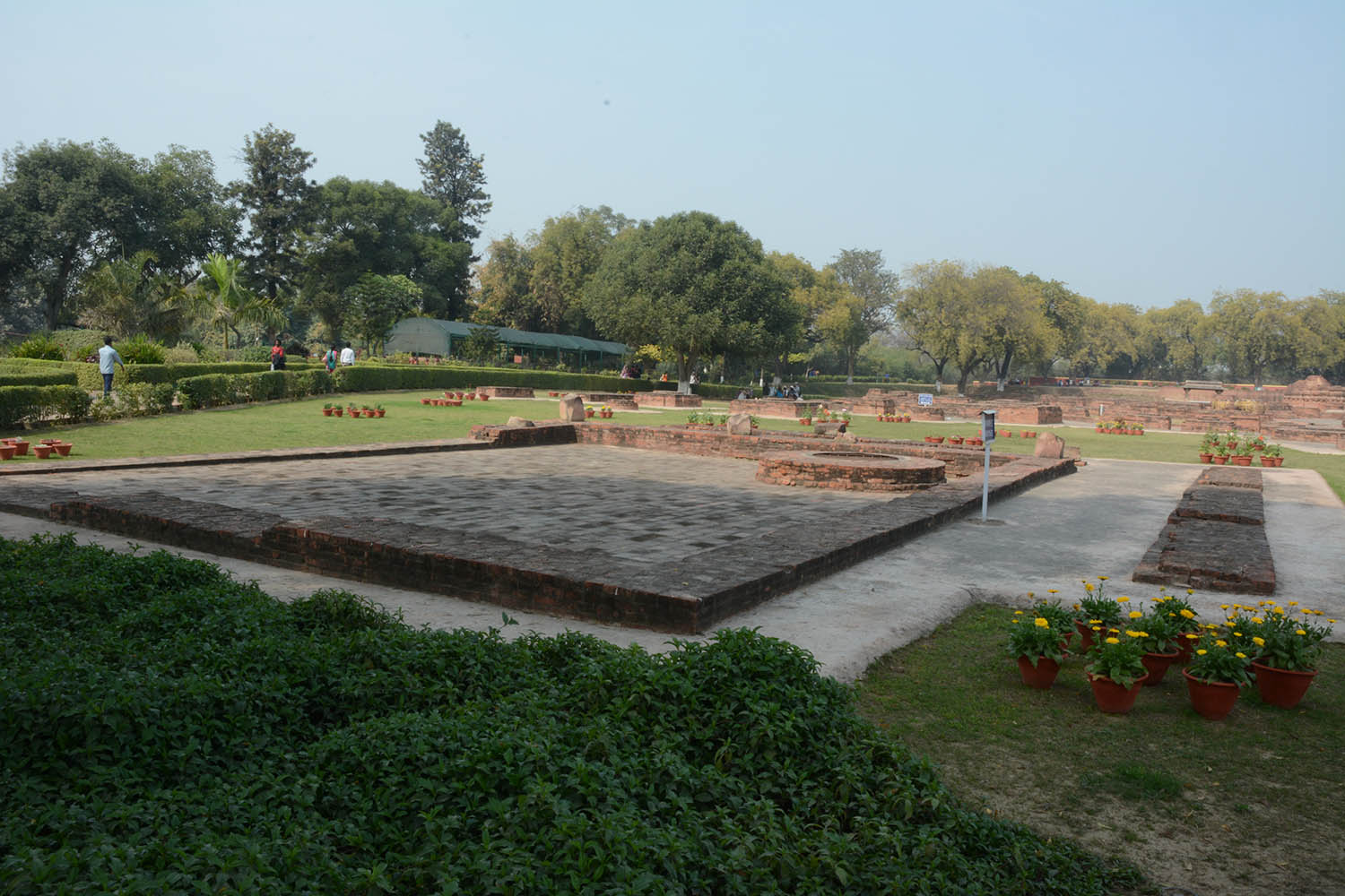 Archaeological Site of Sarnath (Asher Collection)
