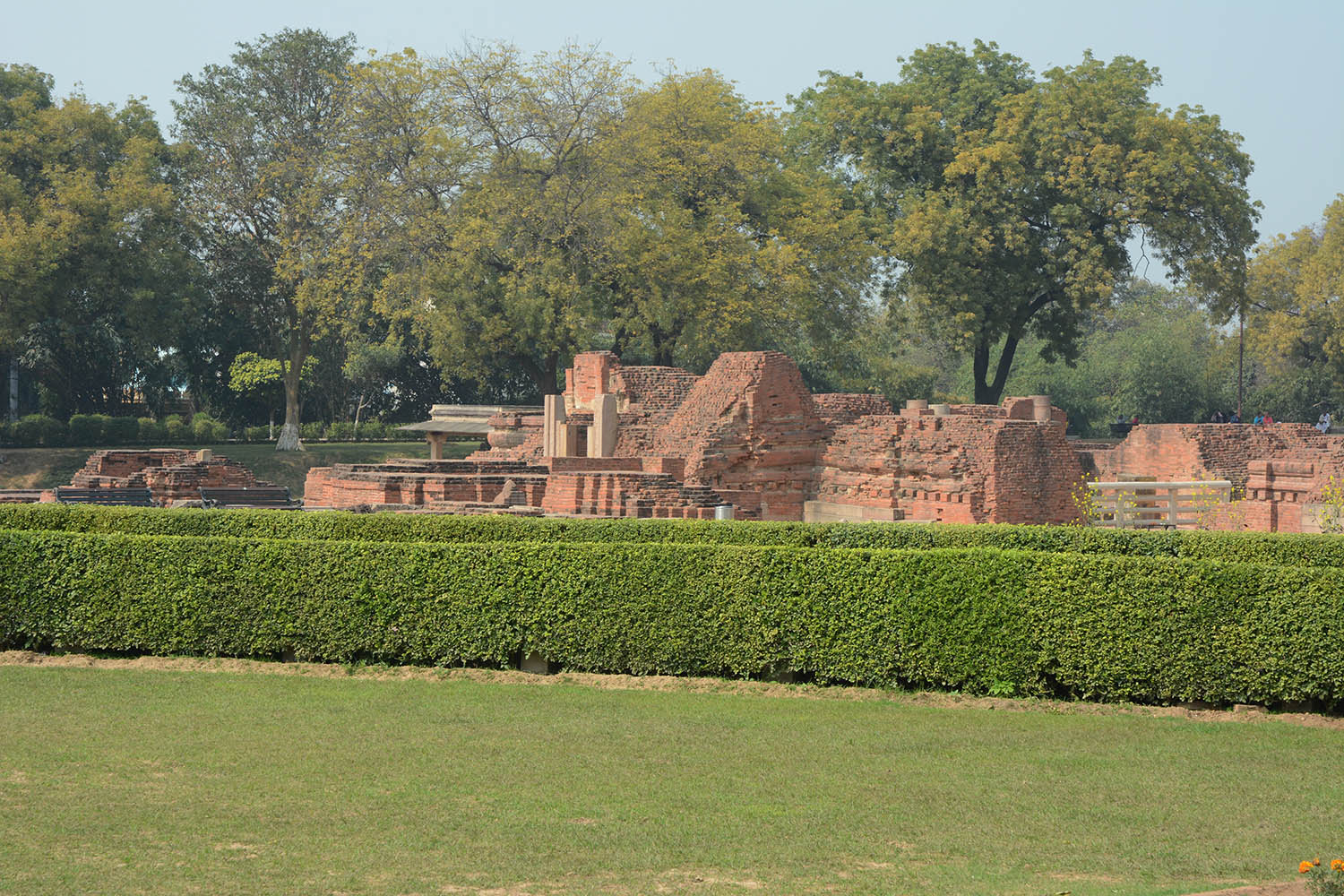 Archaeological Site of Sarnath (Asher Collection)