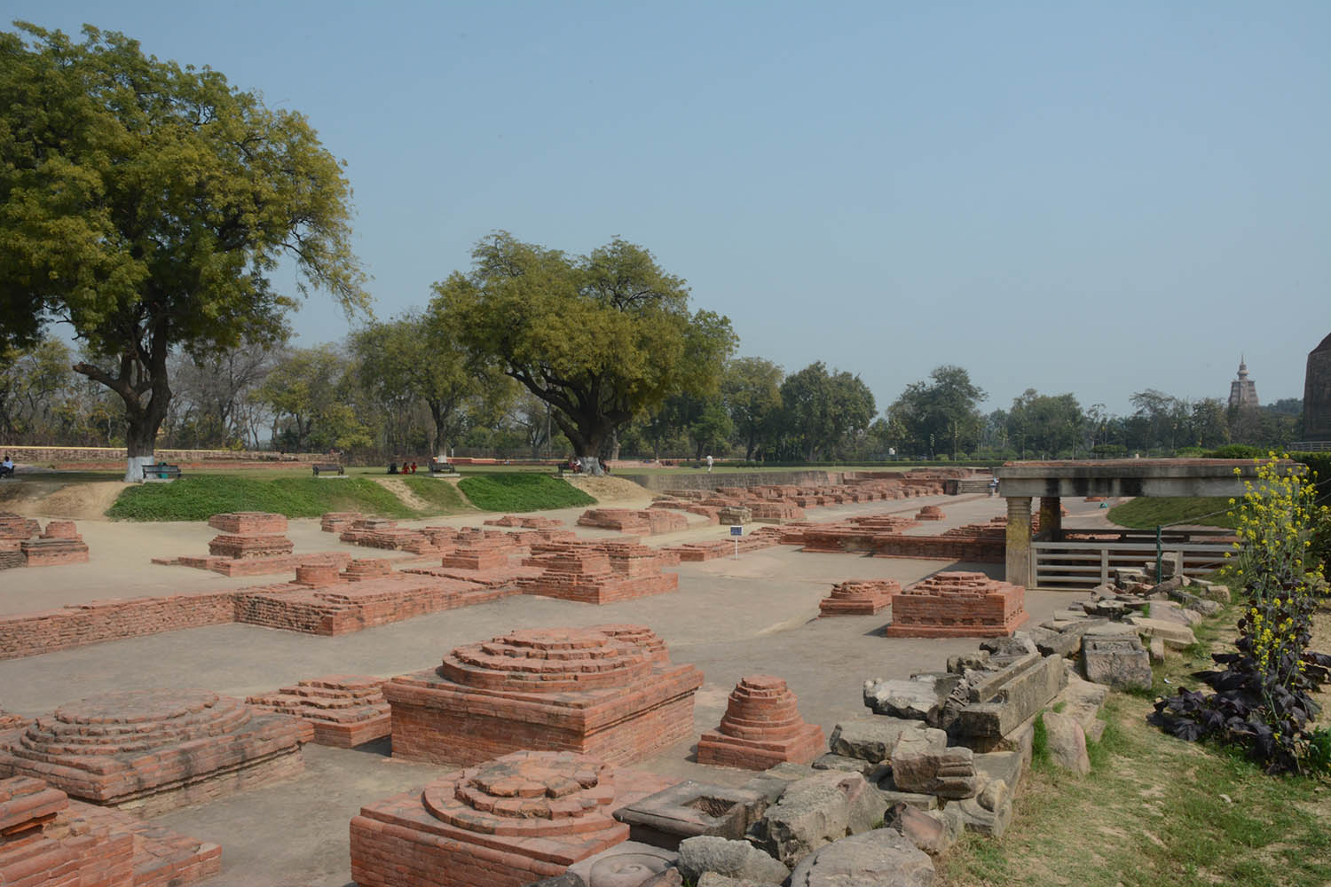 Archaeological Site of Sarnath (Asher Collection)