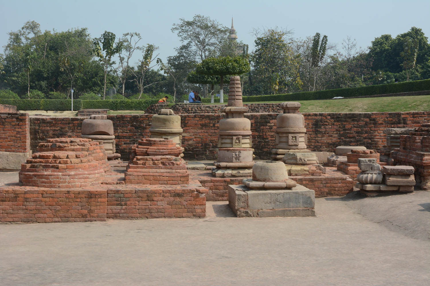 Archaeological Site of Sarnath (Asher Collection)