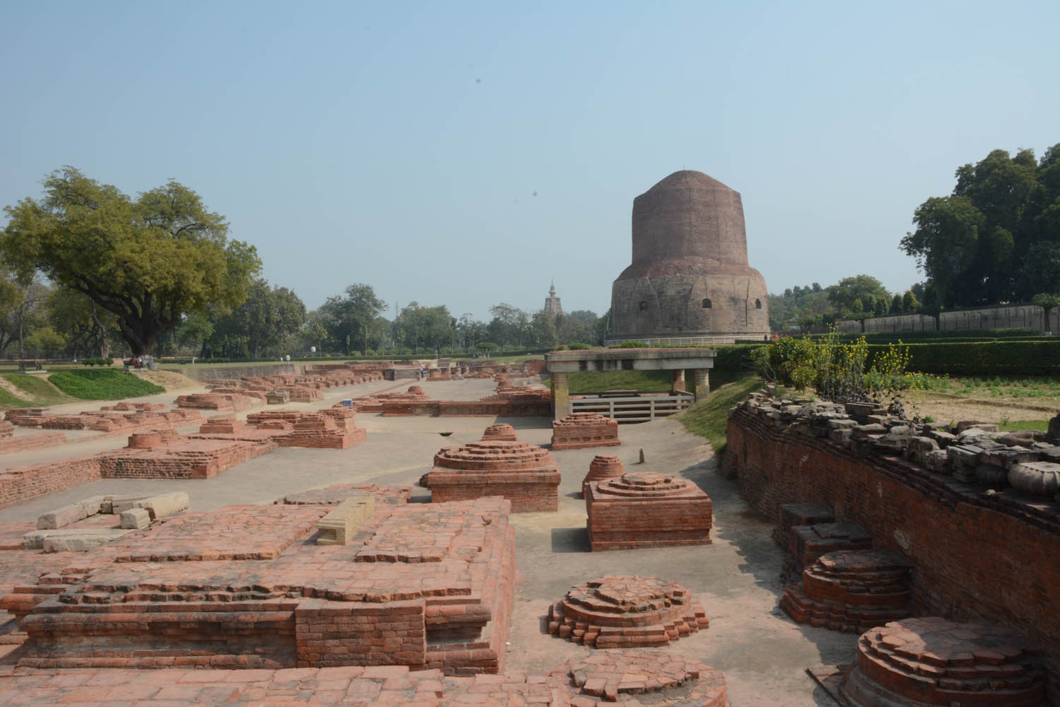 Archaeological Site of Sarnath (Asher Collection)