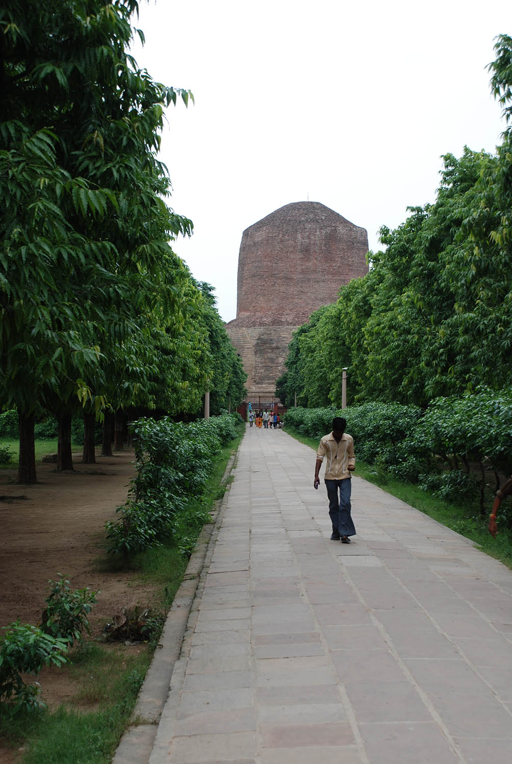 Archaeological Site of Sarnath (Asher Collection)