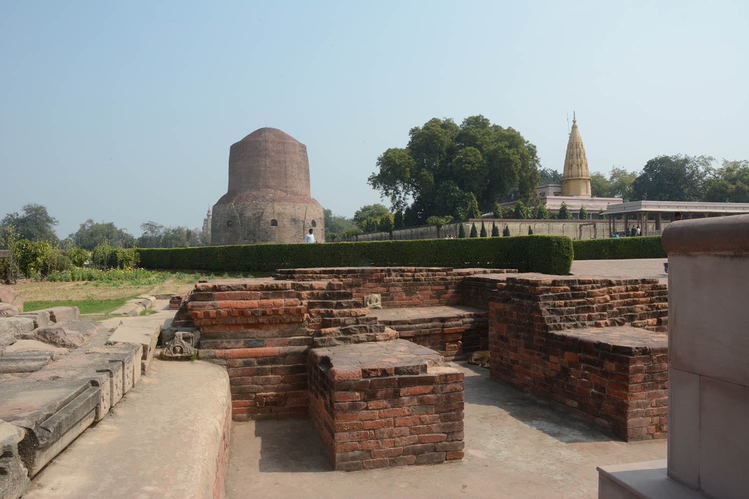 Archaeological Site of Sarnath (Asher Collection)