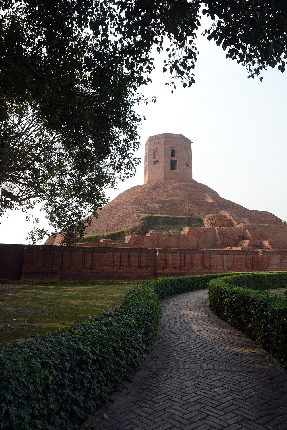 Archaeological Site of Sarnath (Asher Collection)