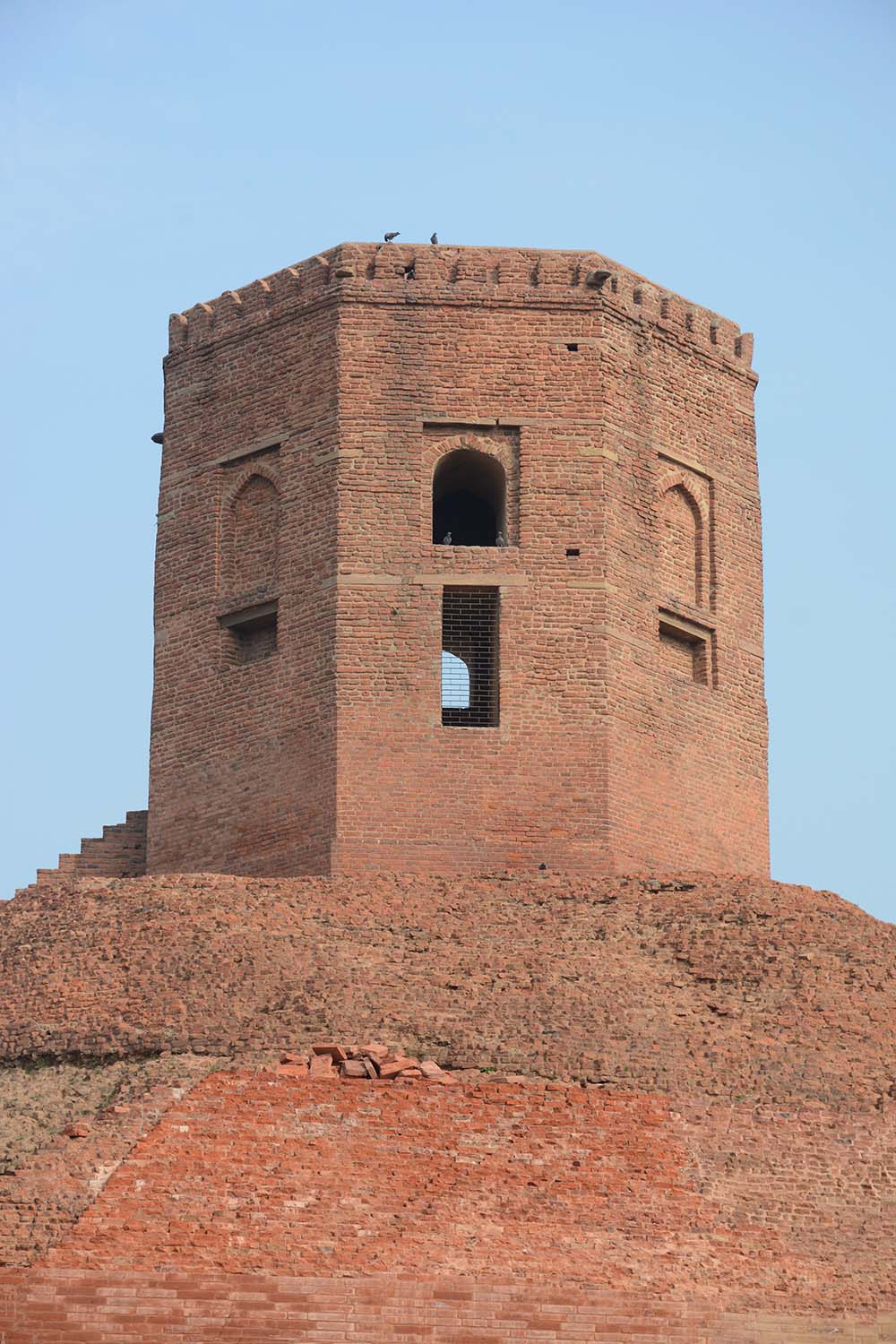 Archaeological Site of Sarnath (Asher Collection)