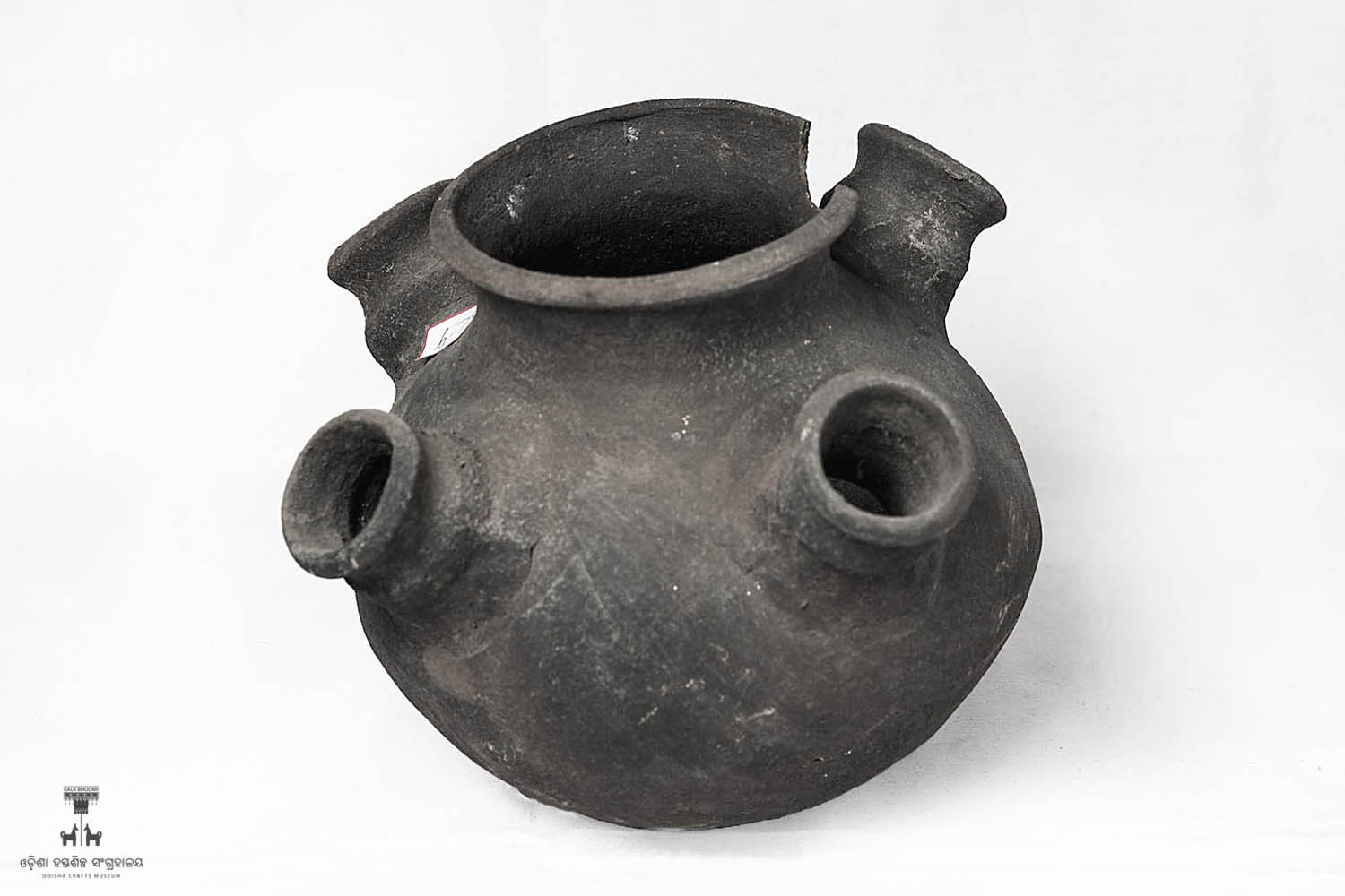 Kala Bhoomi Odisha Crafts Museum, Bhubaneswar, Odisha. 