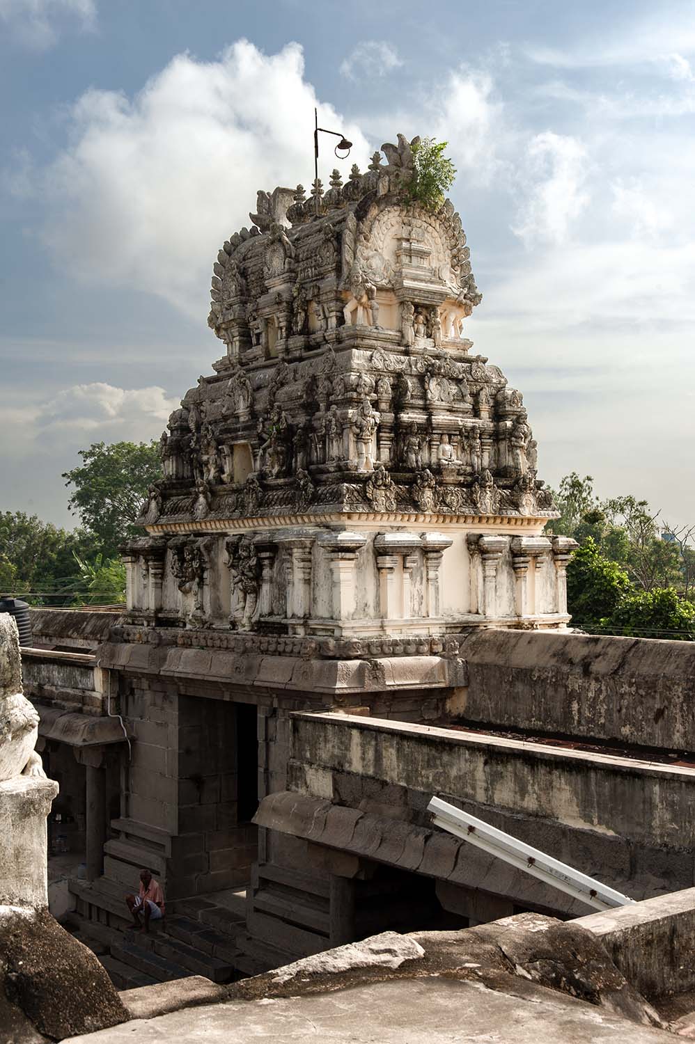 Trilokyanatha Jeenaswamy Temple, Tiruparuthikundram, Kanchipuram, Tamil Nadu