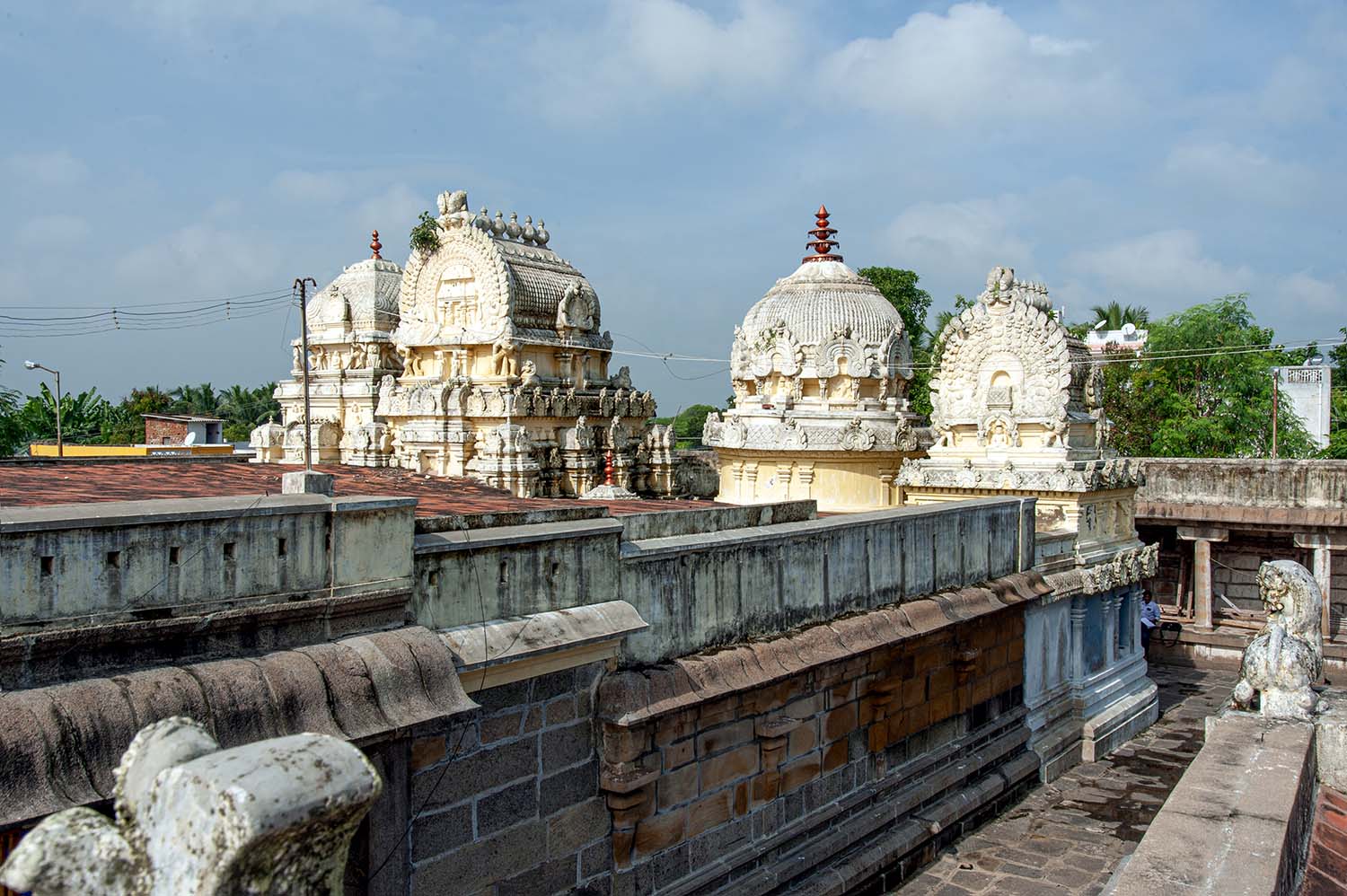 Trilokyanatha Jeenaswamy Temple, Tiruparuthikundram, Kanchipuram, Tamil Nadu