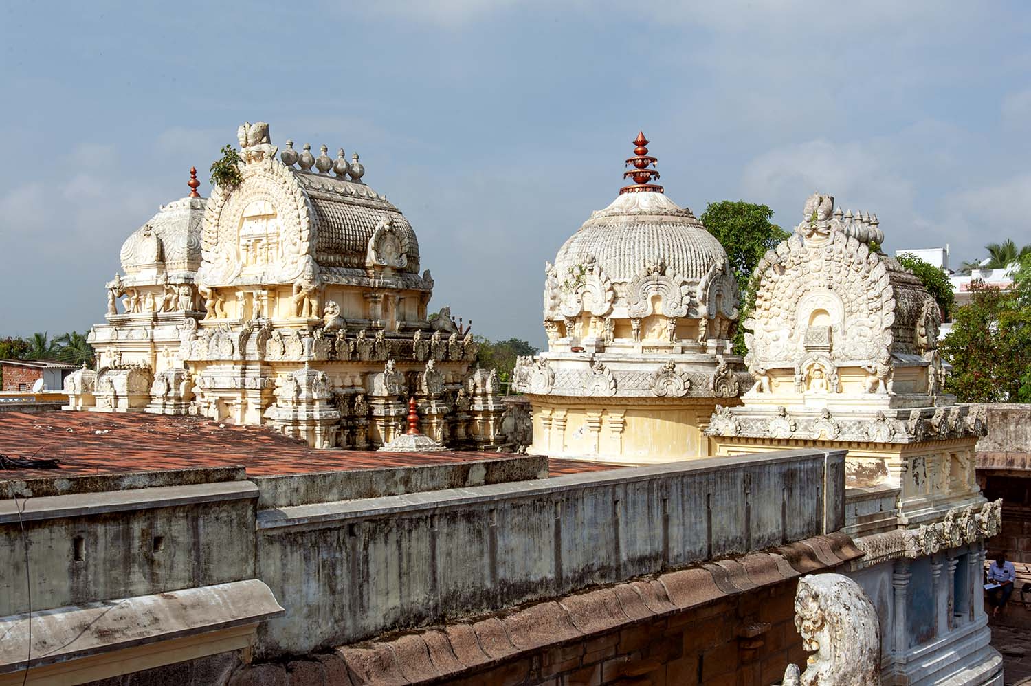 Trilokyanatha Jeenaswamy Temple, Tiruparuthikundram, Kanchipuram, Tamil Nadu