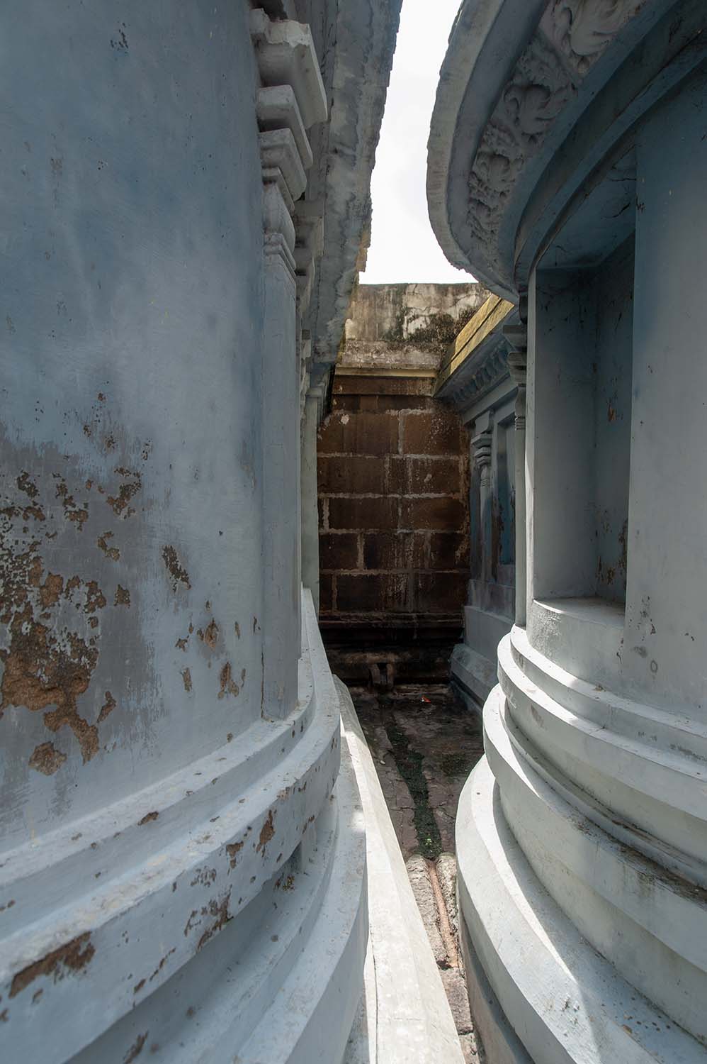 Trilokyanatha Jeenaswamy Temple, Tiruparuthikundram, Kanchipuram, Tamil Nadu