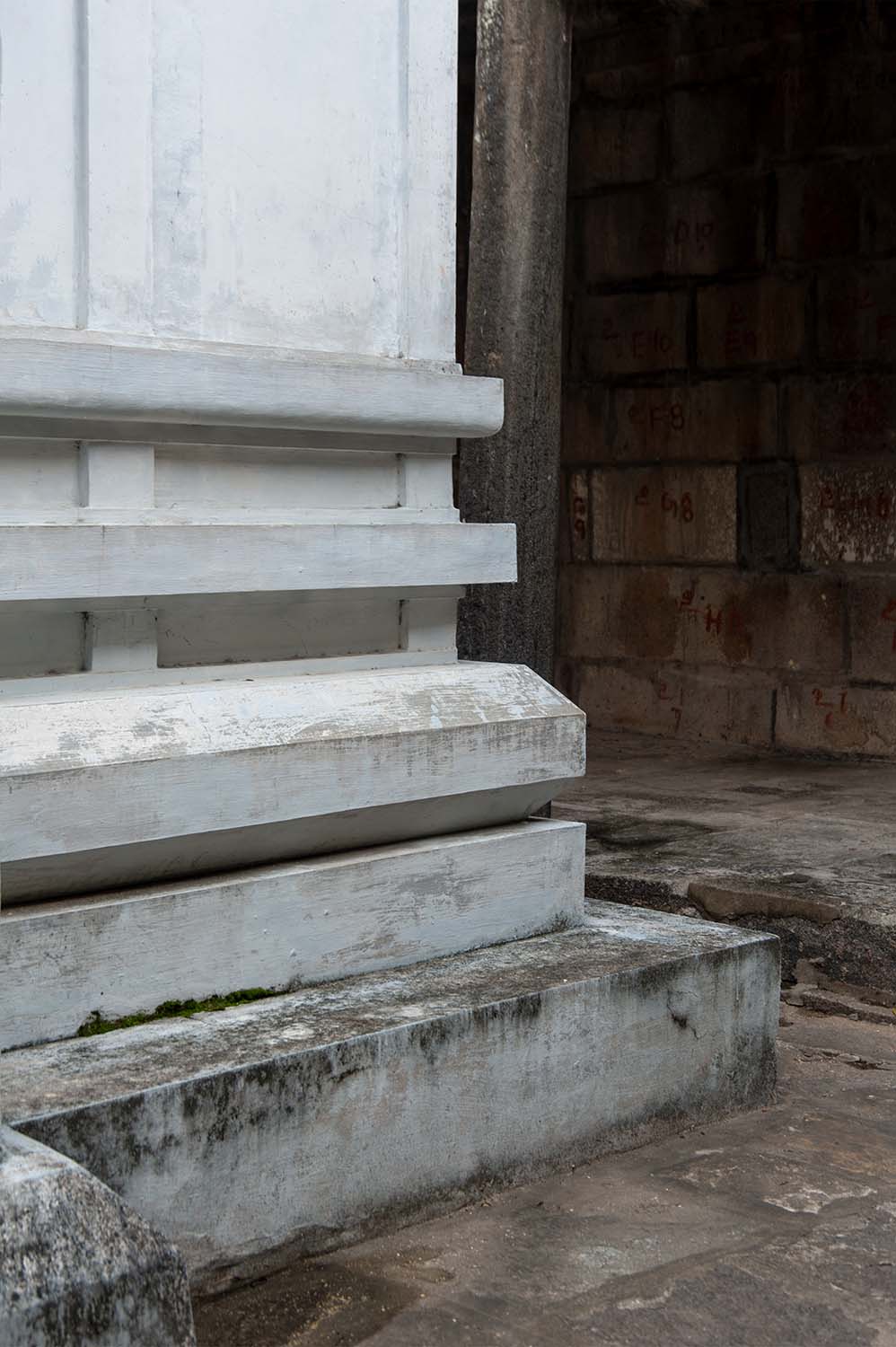Trilokyanatha Jeenaswamy Temple, Tiruparuthikundram, Kanchipuram, Tamil Nadu