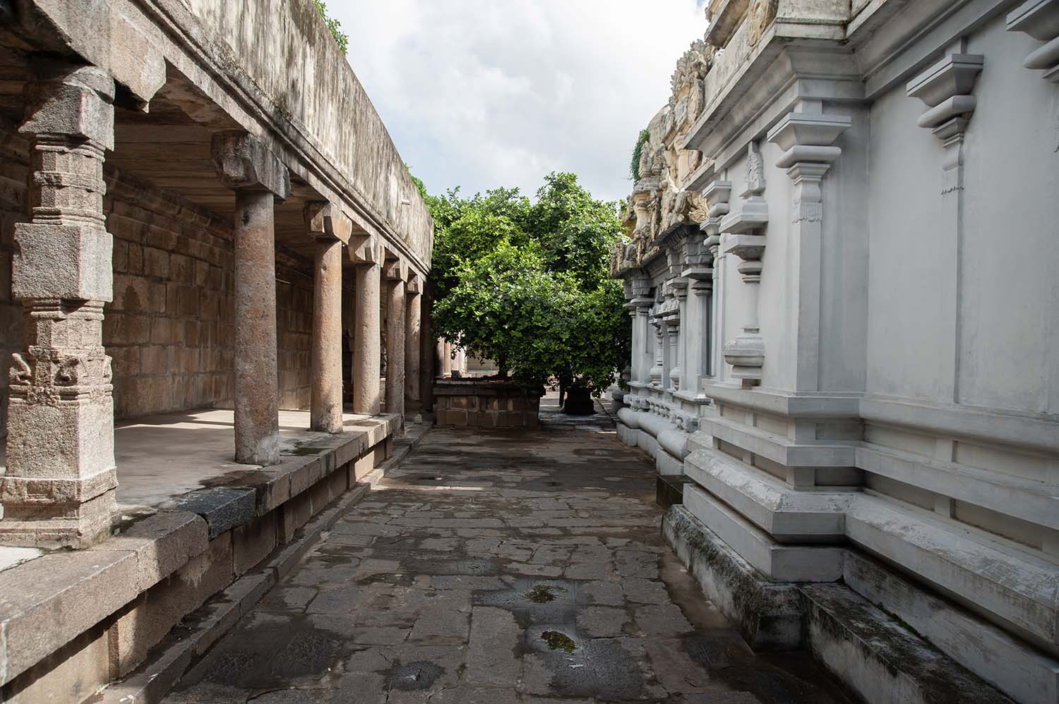 Trilokyanatha Jeenaswamy Temple, Tiruparuthikundram, Kanchipuram, Tamil Nadu