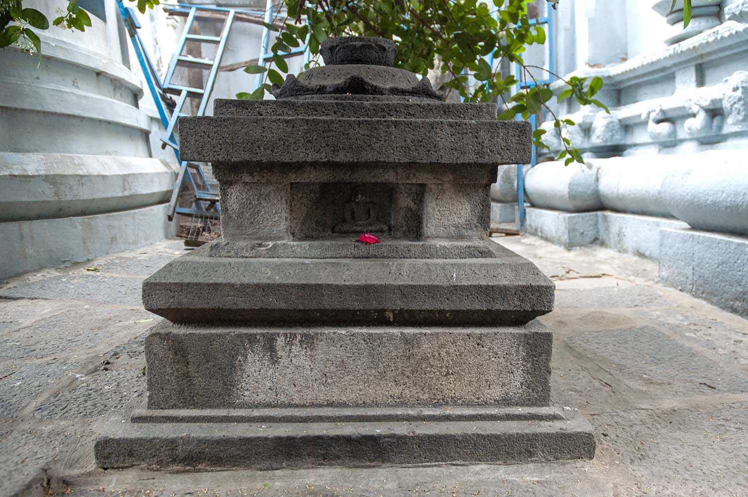 Trilokyanatha Jeenaswamy Temple, Tiruparuthikundram, Kanchipuram, Tamil Nadu