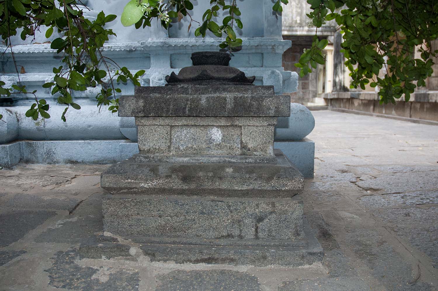 Trilokyanatha Jeenaswamy Temple, Tiruparuthikundram, Kanchipuram, Tamil Nadu