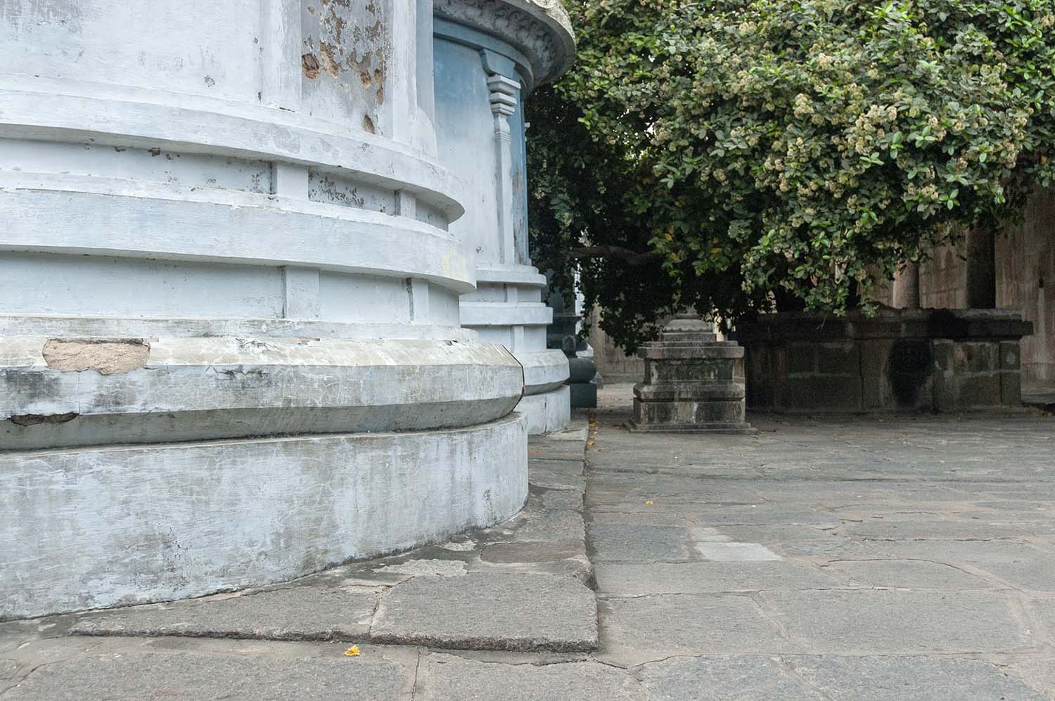 Trilokyanatha Jeenaswamy Temple, Tiruparuthikundram, Kanchipuram, Tamil Nadu